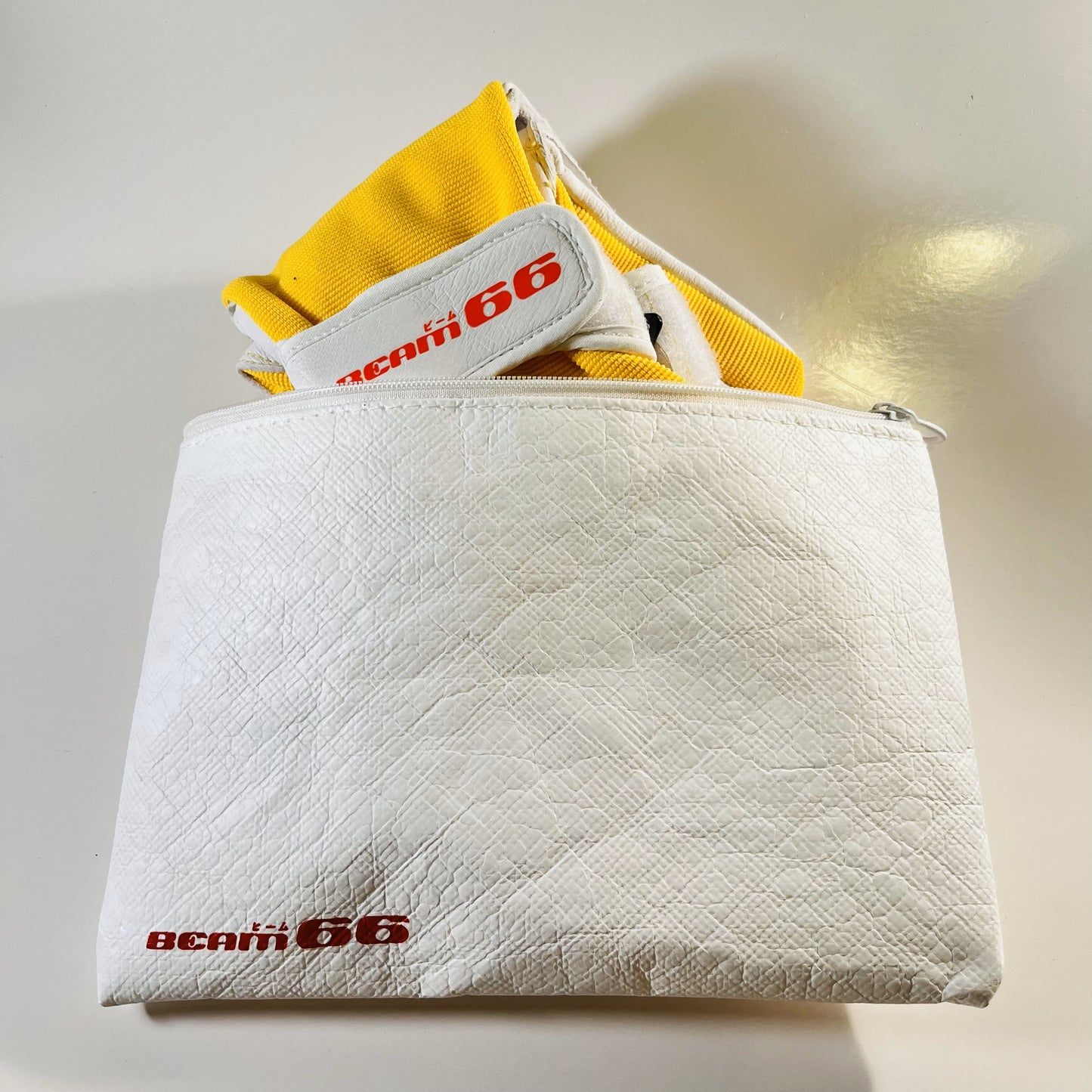 BEAM66 Glove Bag